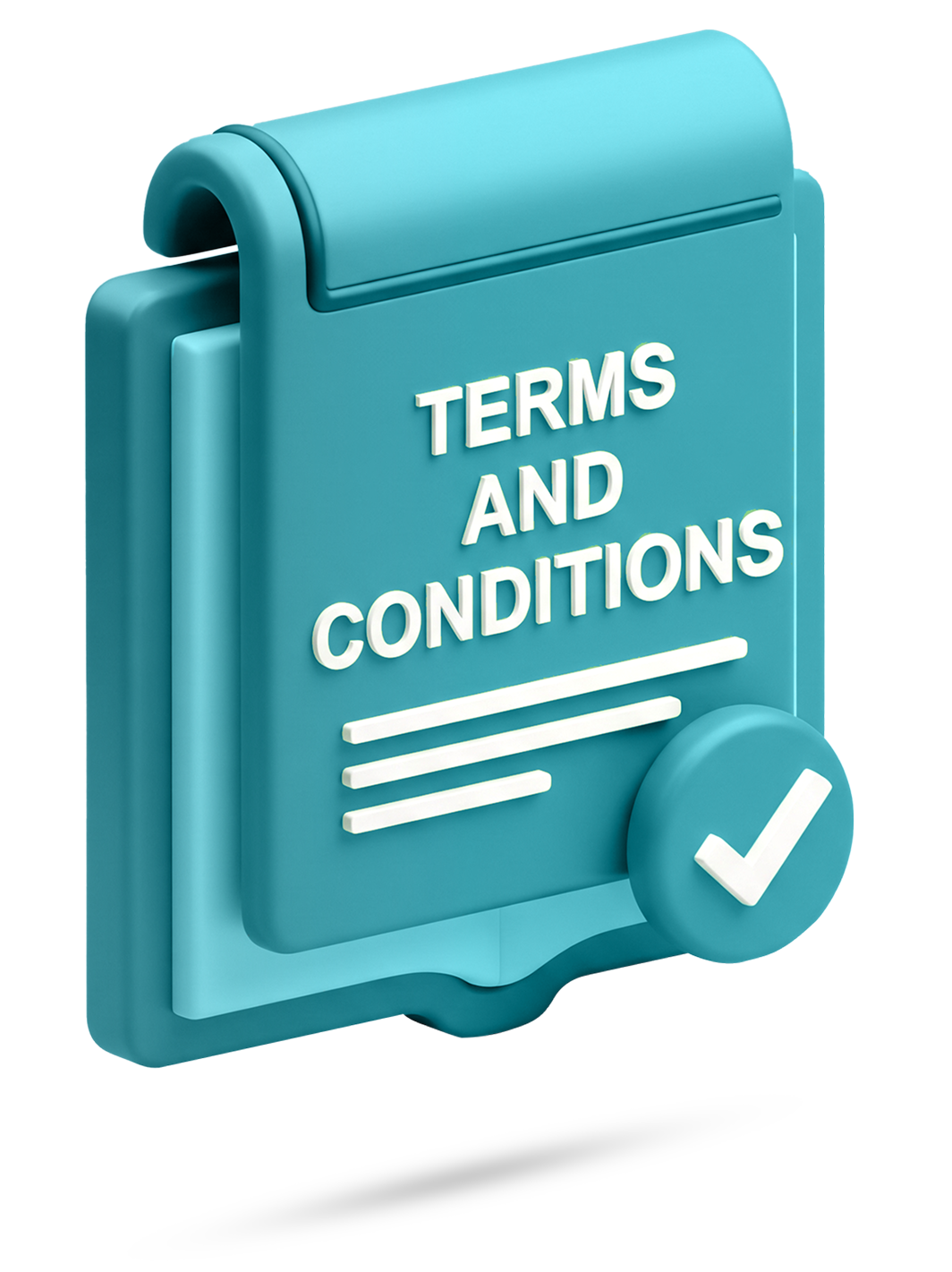 Terms and Conditions